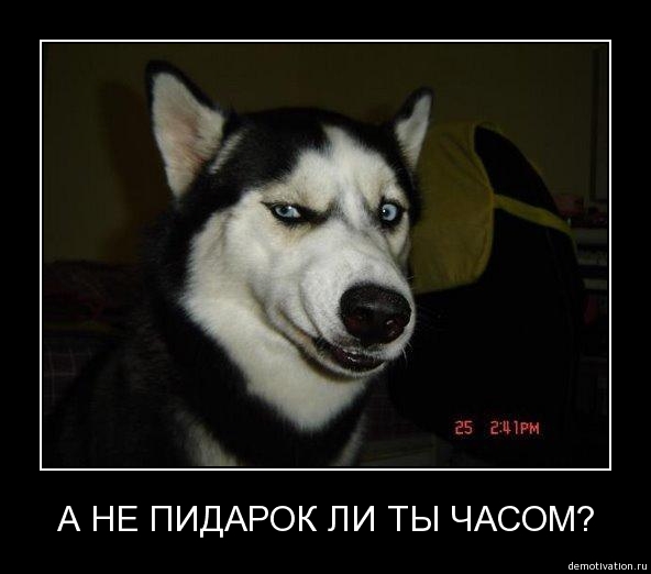 9F30AF51-1D34-46B2-81BB-8E0707C45843.jpeg