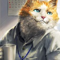 kot_15100.jpg