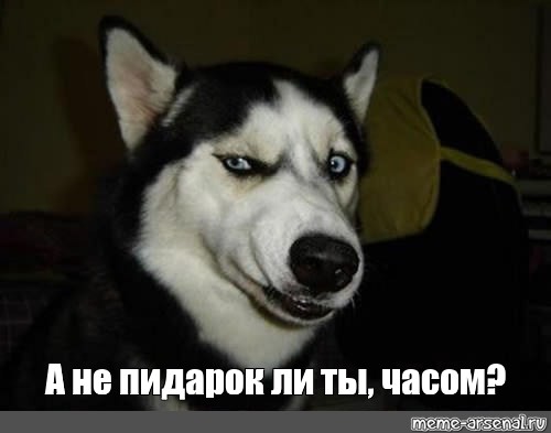 bcc6f68b1f1e10b9817aa08f81c3da46.jpg