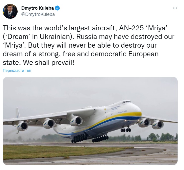 _429.jpg