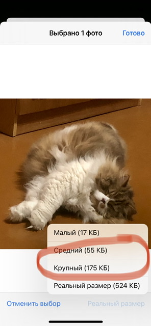 74E02B20-4815-4436-BF54-B48E8859322F.jpeg