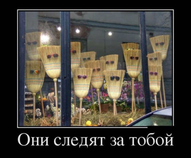 они следят.jpg
