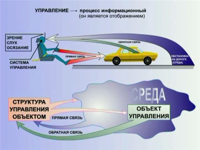 7ce25fd3a724.jpg