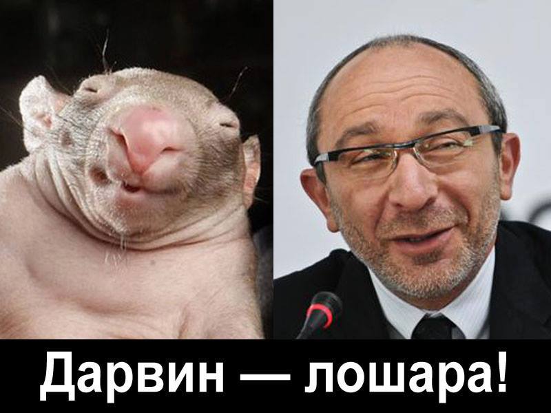 1382214316_darvin.jpg