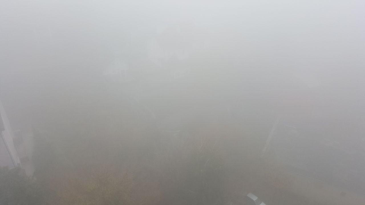 fog_2019-10-24.jpg